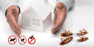 Pest Control Services